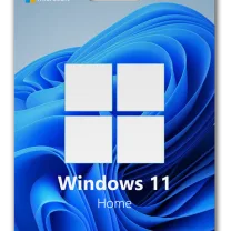 OEM Windows 11 Home (Online Aktivasyon)