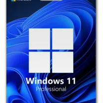 OEM Windows 11 Pro (Online Aktivasyon)